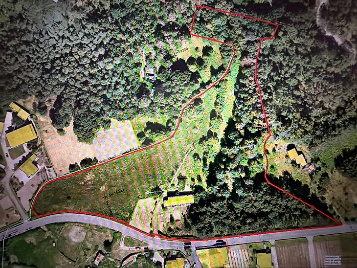 Quinta em Viseu